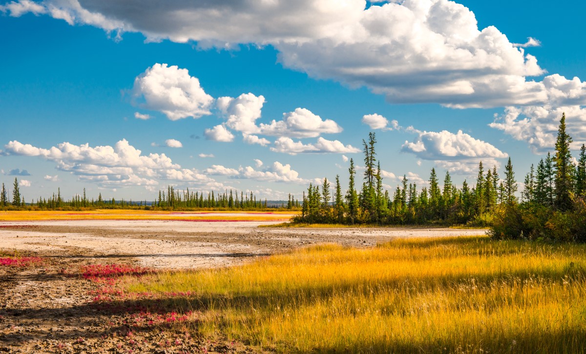 Wood Buffalo Nationalpark