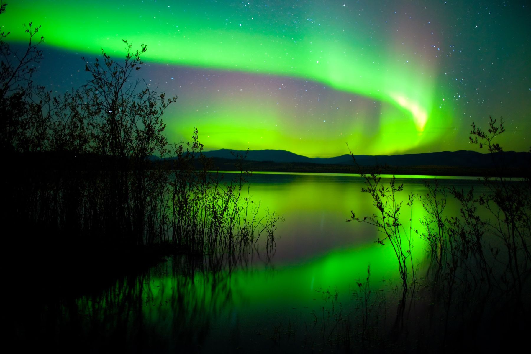 Nordlichter über dem Lake Laberge