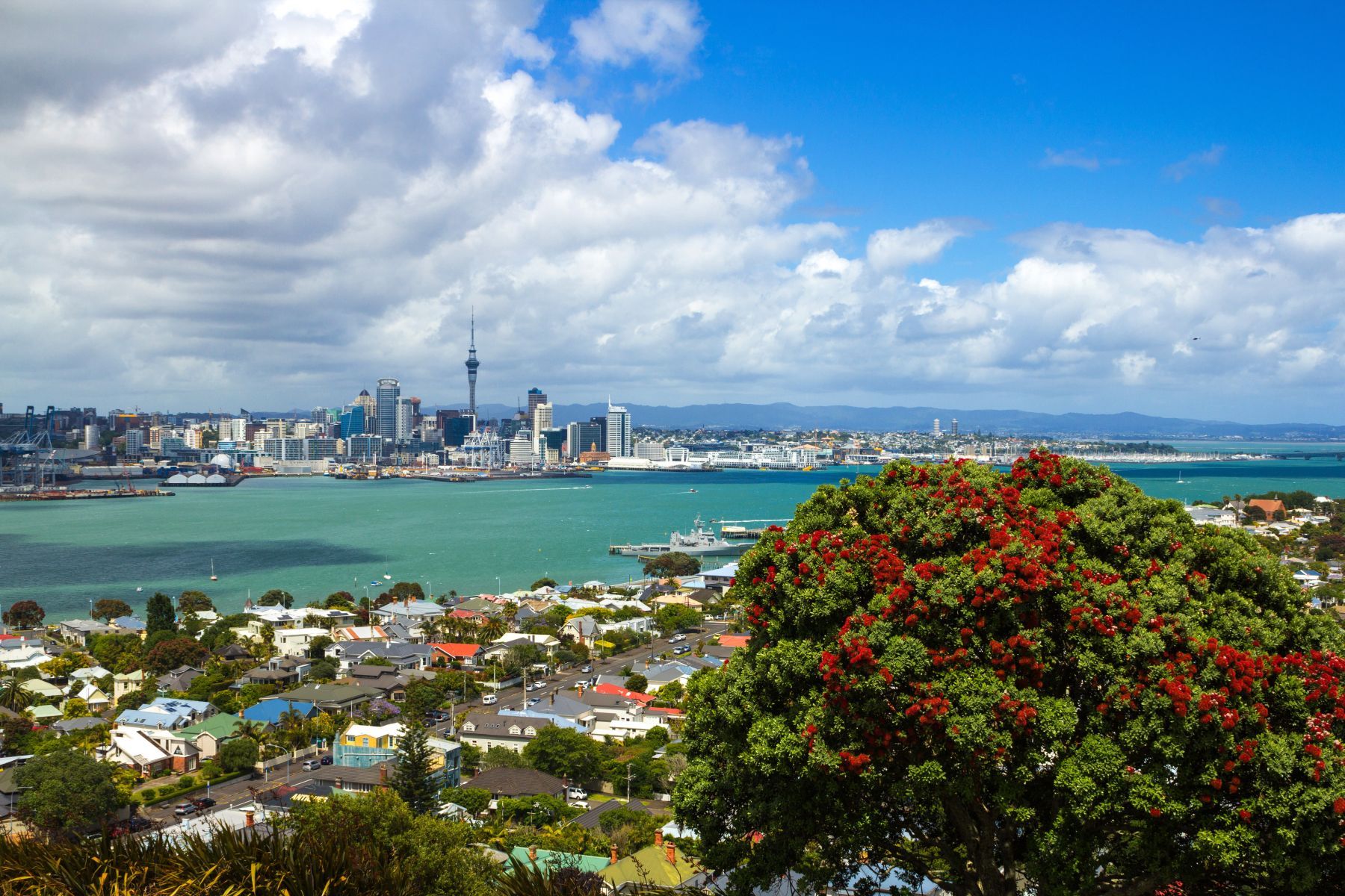 Auckland