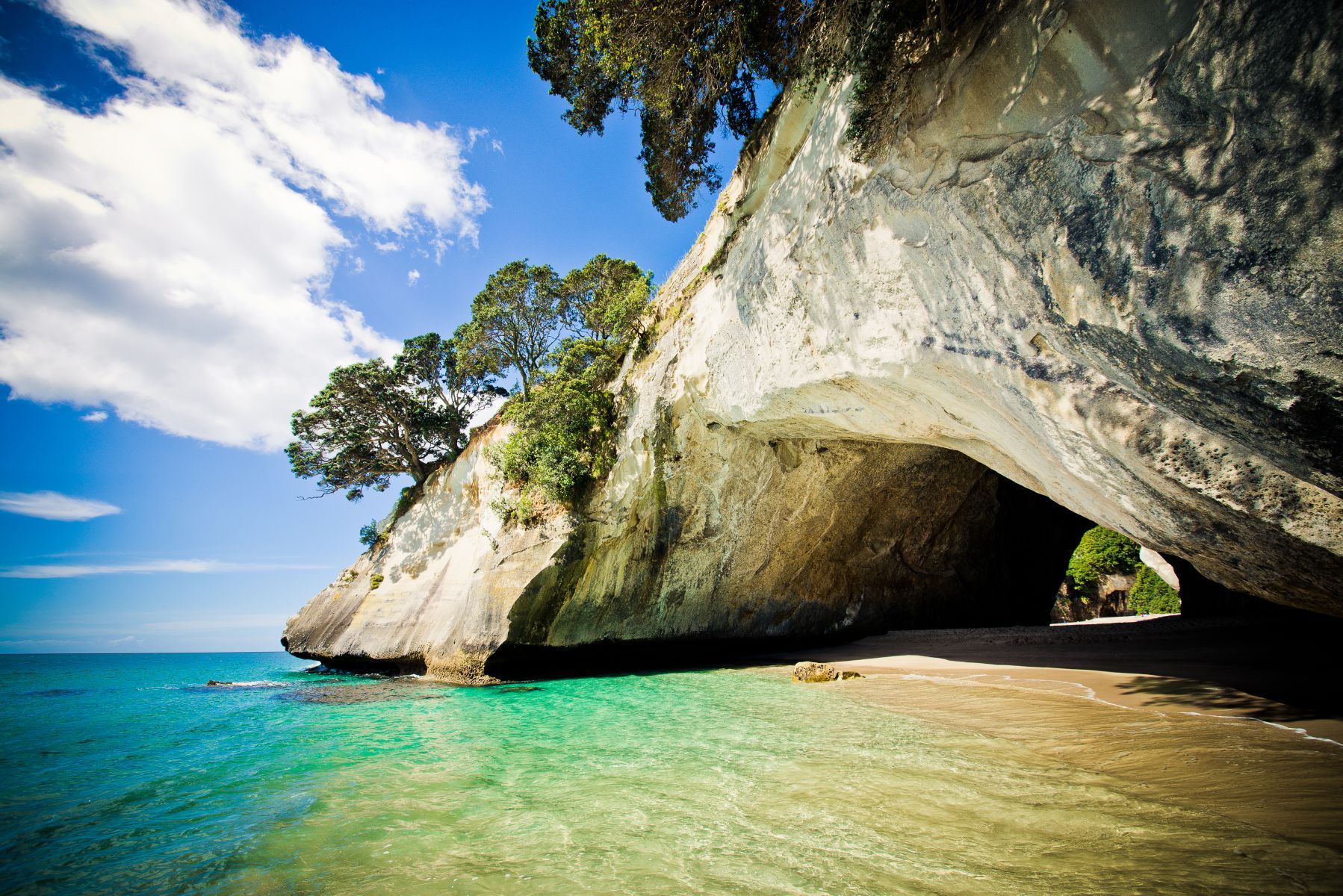 Cathedral Cove