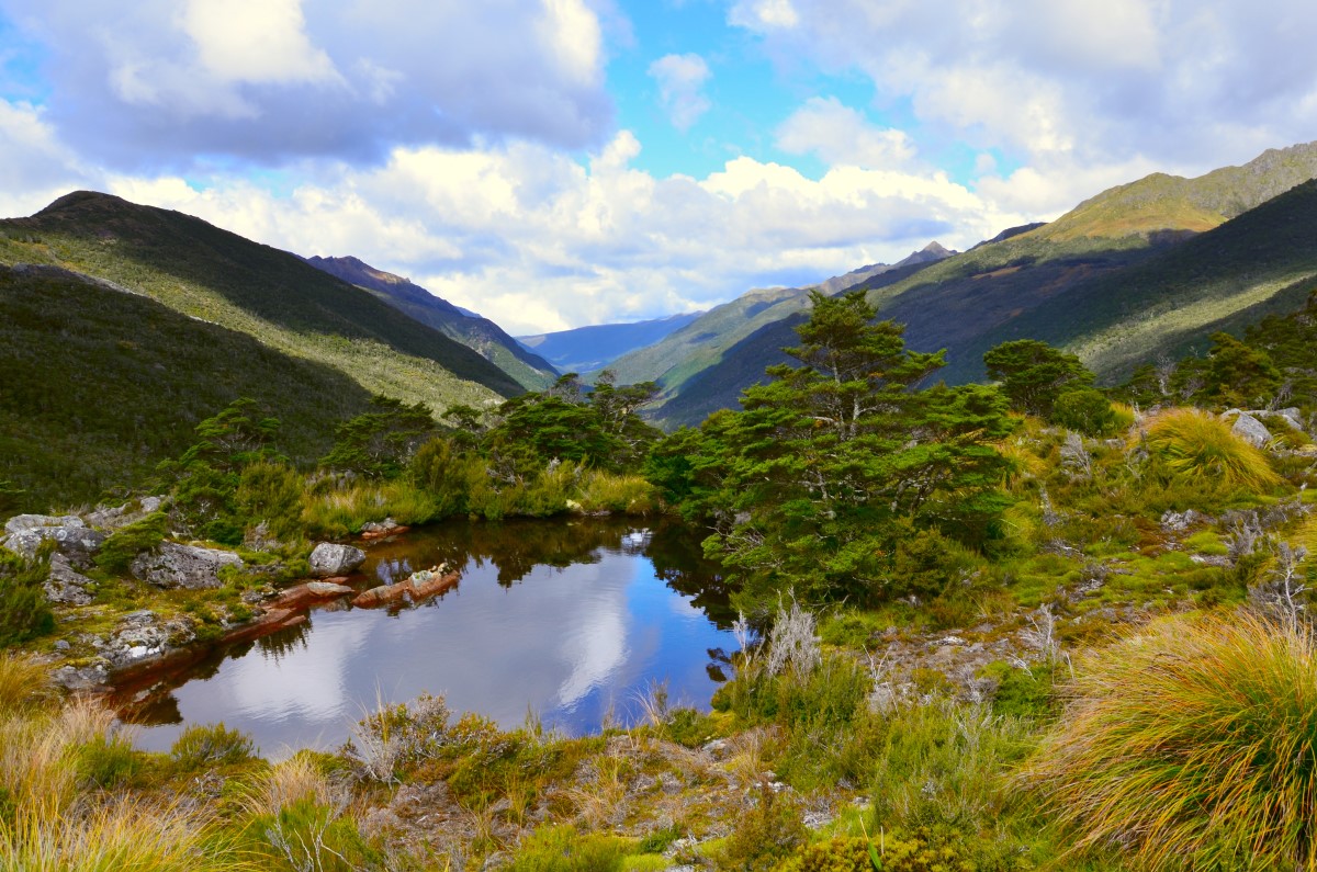 See im Kahurangi Nationalpark