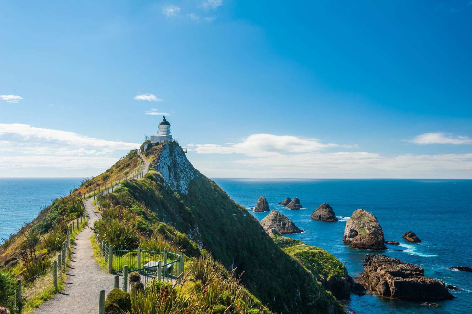 Nugget Point