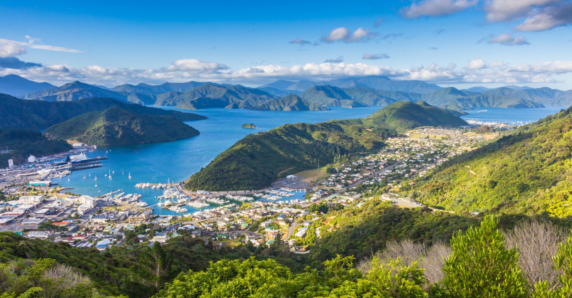Aussicht auf Picton
