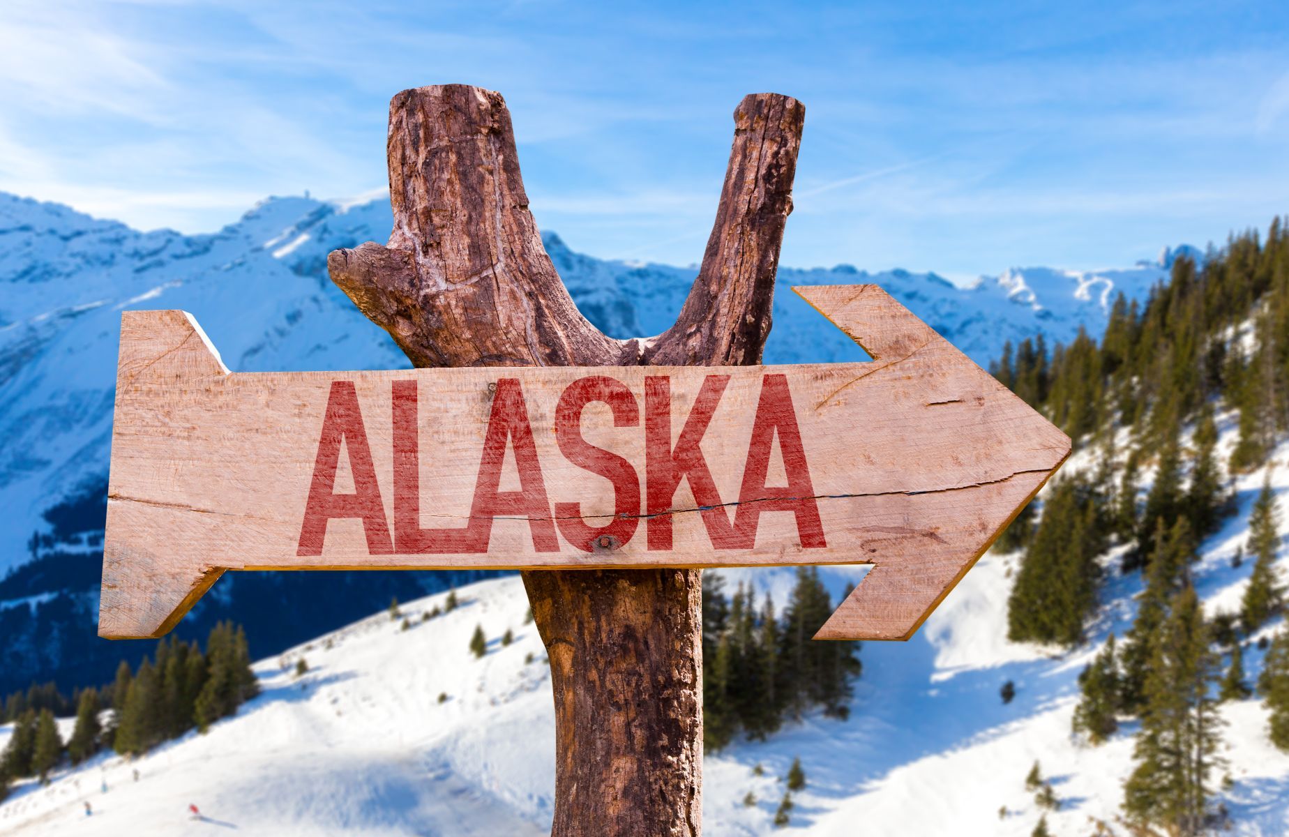 Alaska Schild
