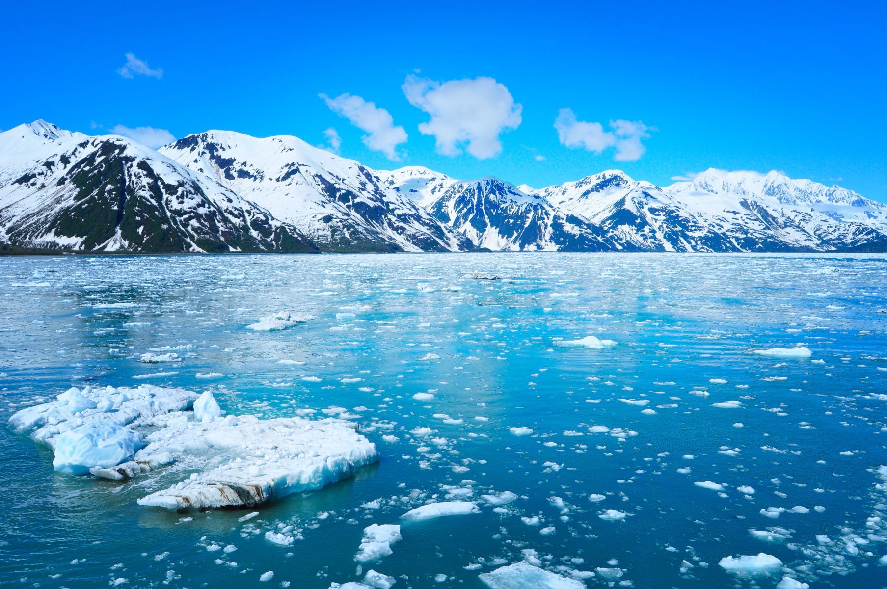 Alaska Reisen 