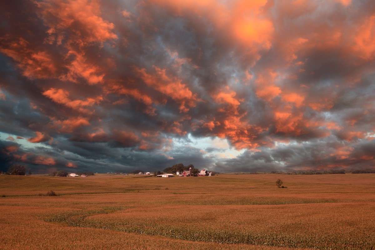 Sonnenuntergang über einem Feld in Iowa