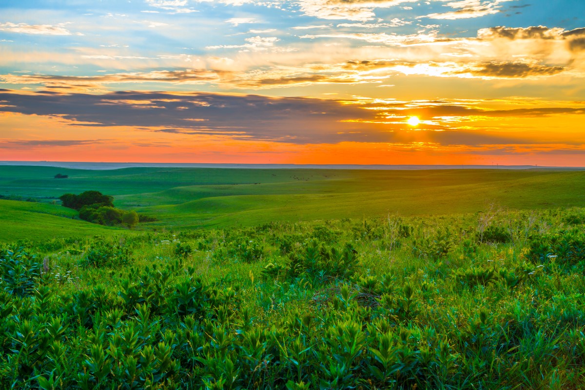 Flint Hills