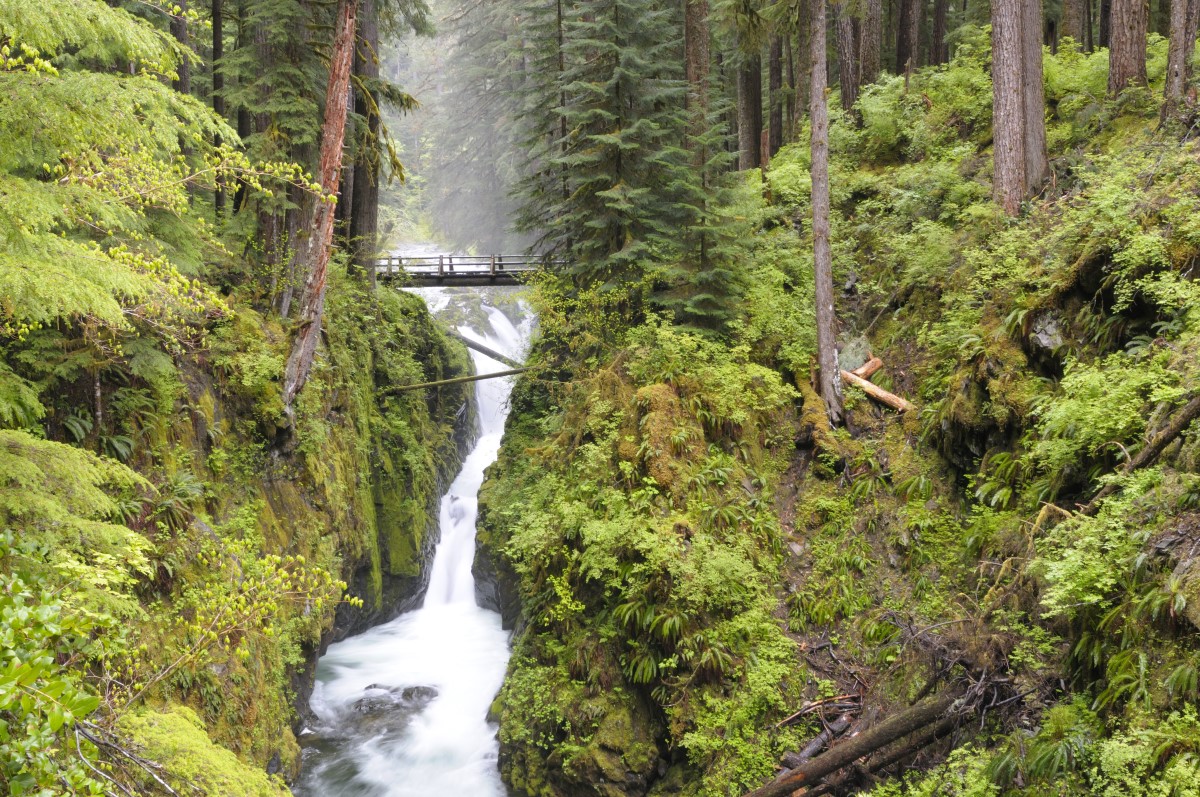 Olympic National Park