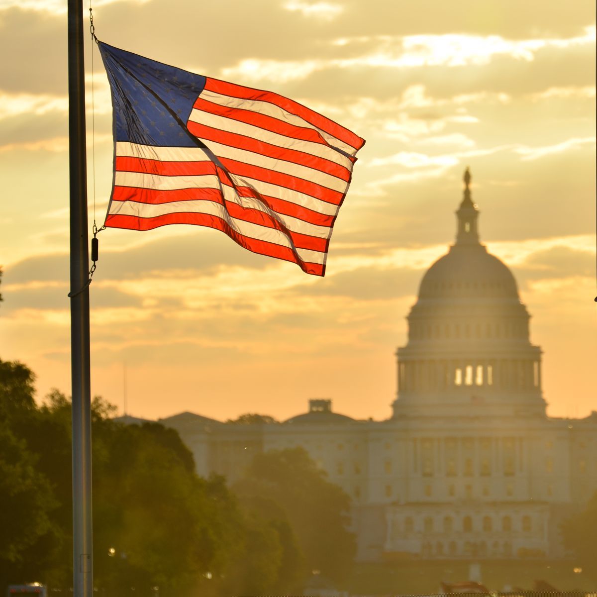 Flagge der USA mit Capitol Building