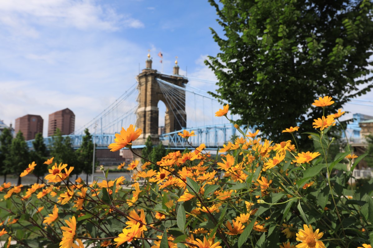 John A. Roebling Suspension Bridge zwischen Cincinnati, Ohio und Covington, Kentucky