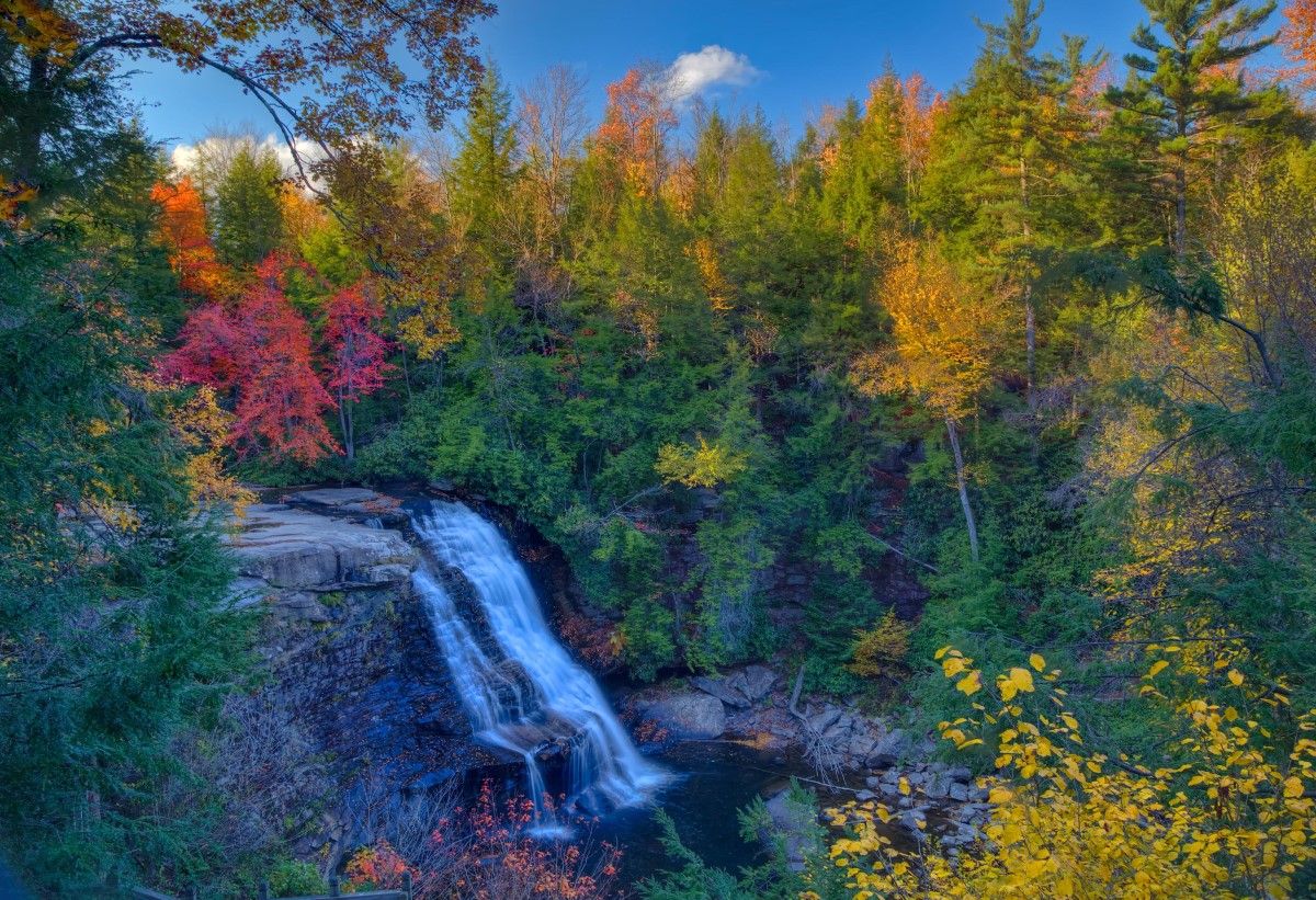 Swallow Falls