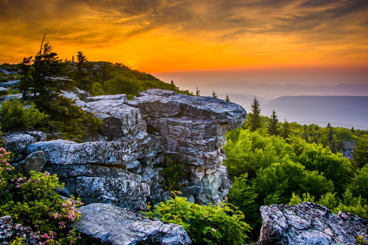 Bear Rocks Preserve im Monongahela National Forest