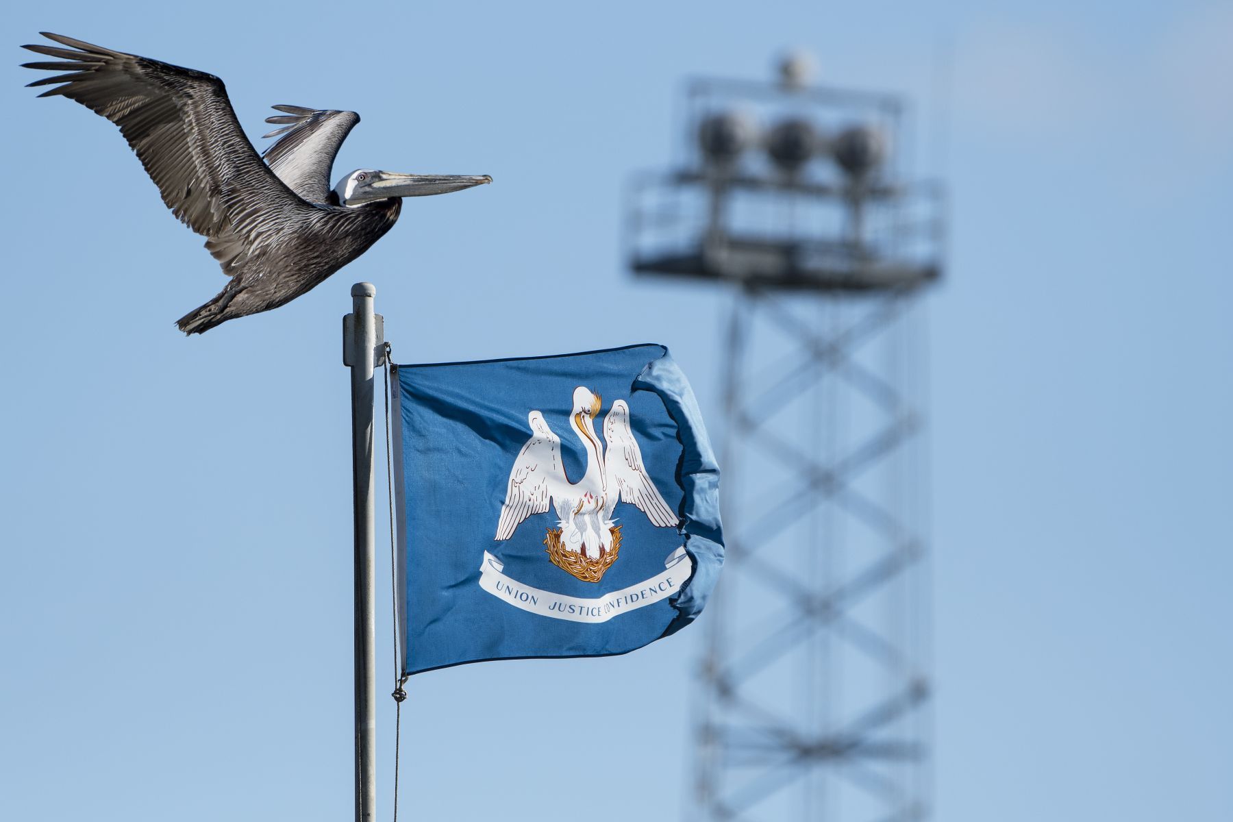 Louisiana Flagge