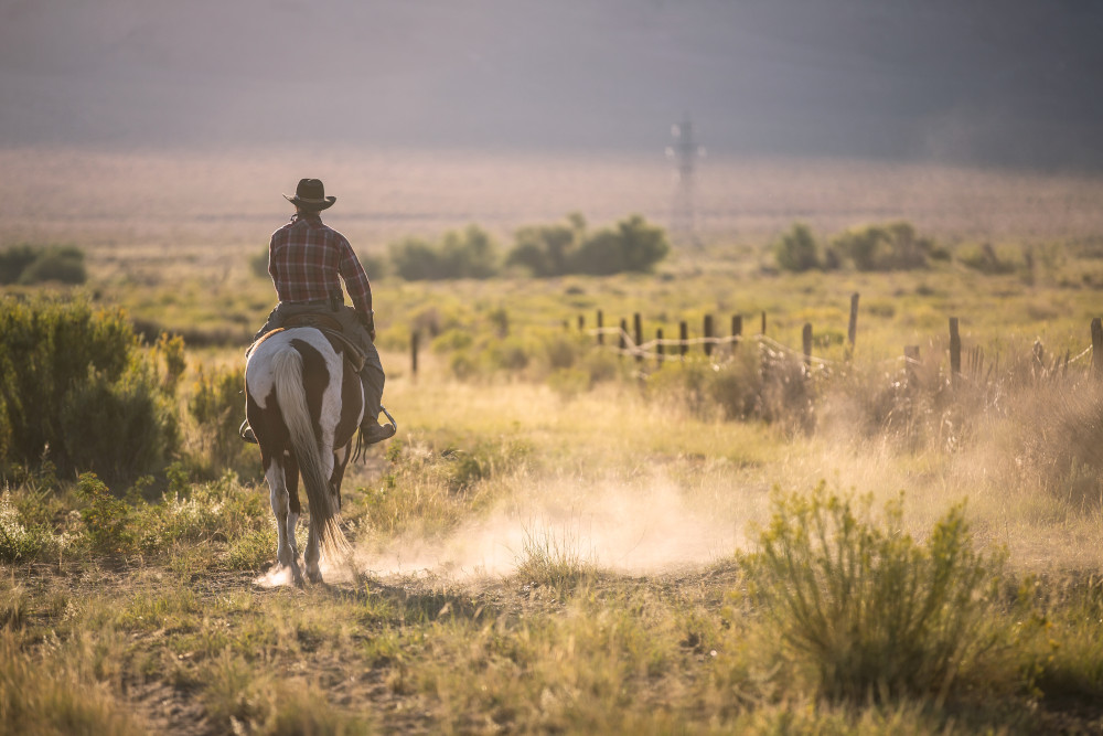Cowboy