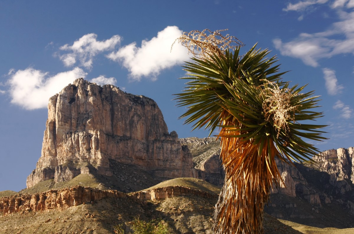 Guadalupe Mountains