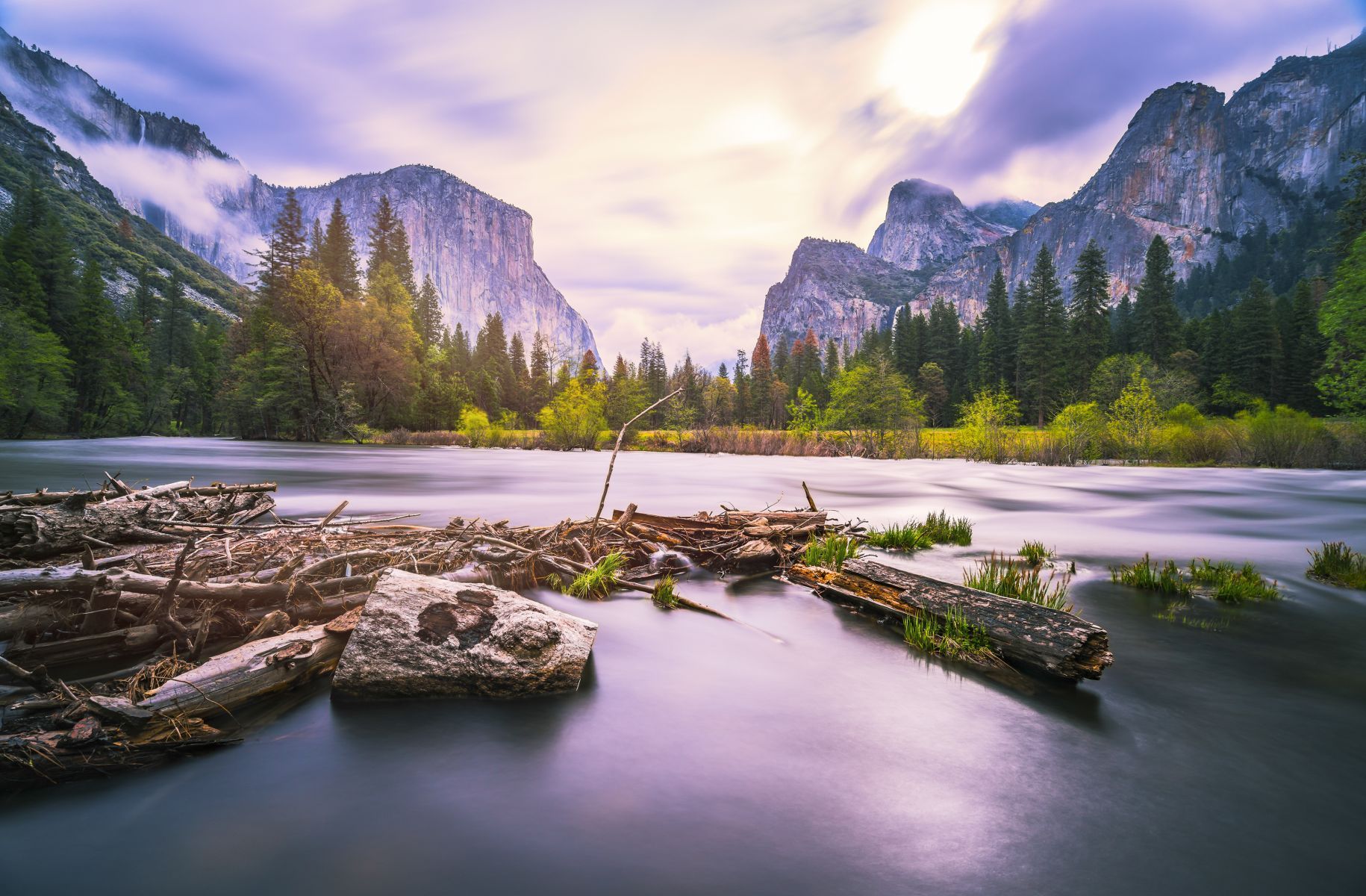Yosemite Camping