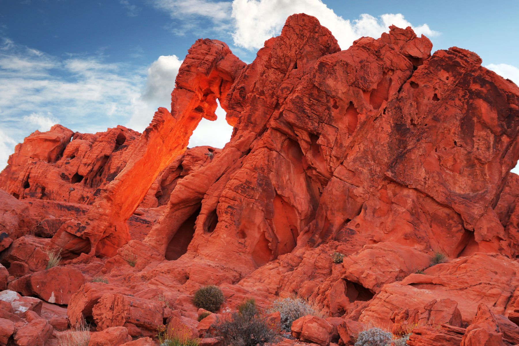 Elephant Rock, Valley of Fire
